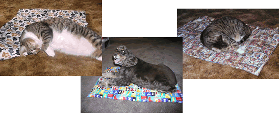 Dog and Cat Blankets Pet Blankets Cat Blankets Dog Blankets