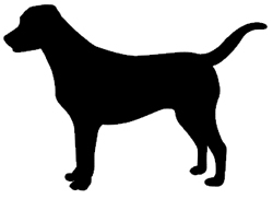 Large Dog Collars