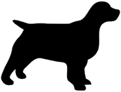 Medium Dog Collars