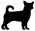 X-Small Dog Collars